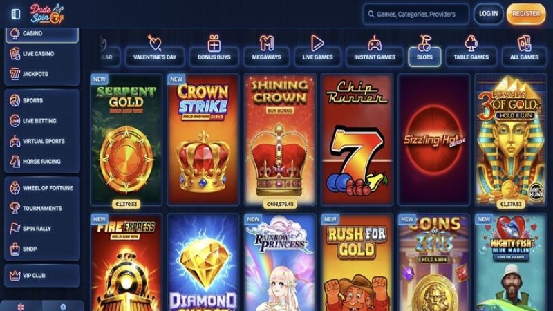 Dudespin Casino platform